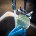 What Contaminants Can Be Removed by a Water Filtration System?